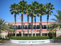University Of South Florida - Top Trường Đại Học Hàng Đầu Thế Giới